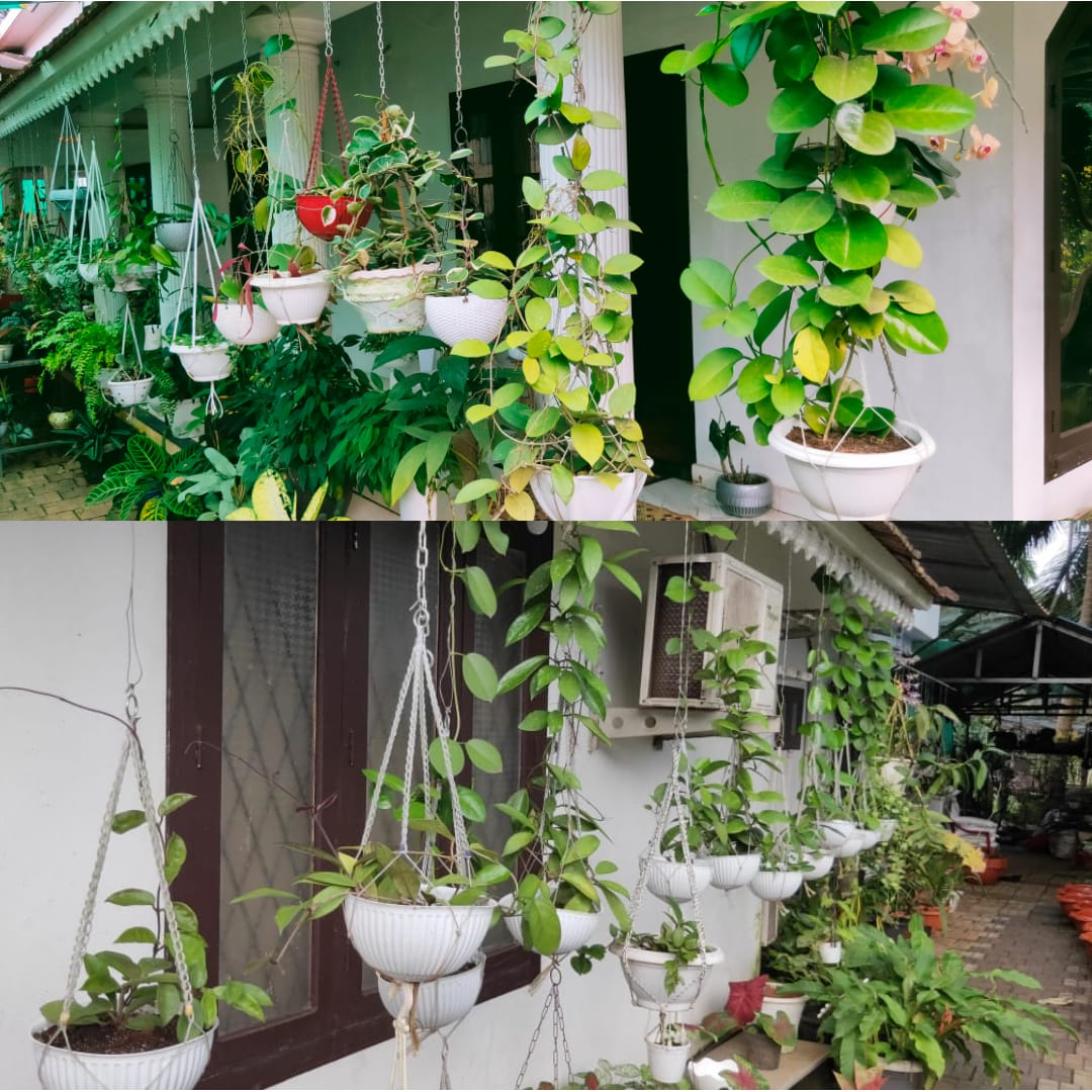 Eva Homestay Chungathara - Nilambur